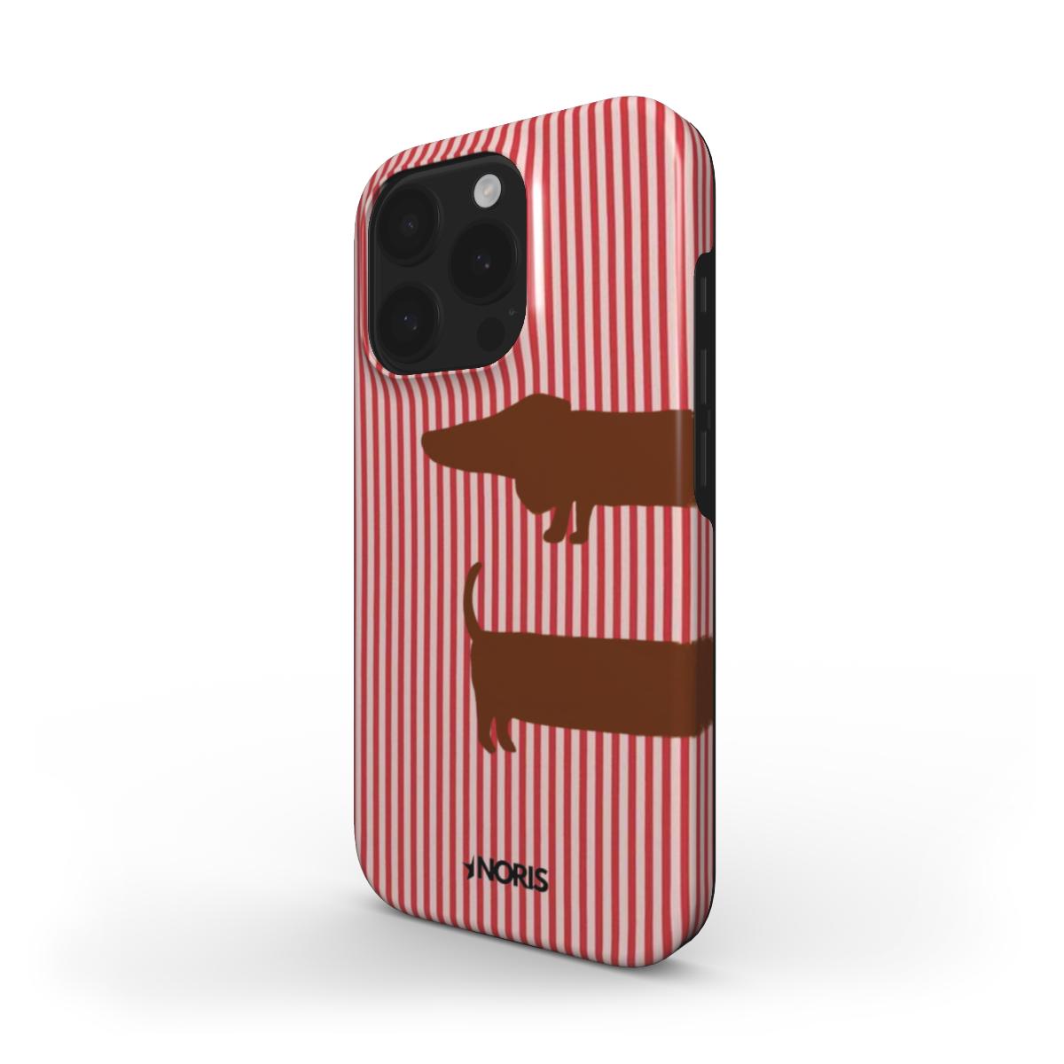 Dachshund
